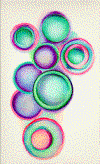 balls.gif (57436 bytes)